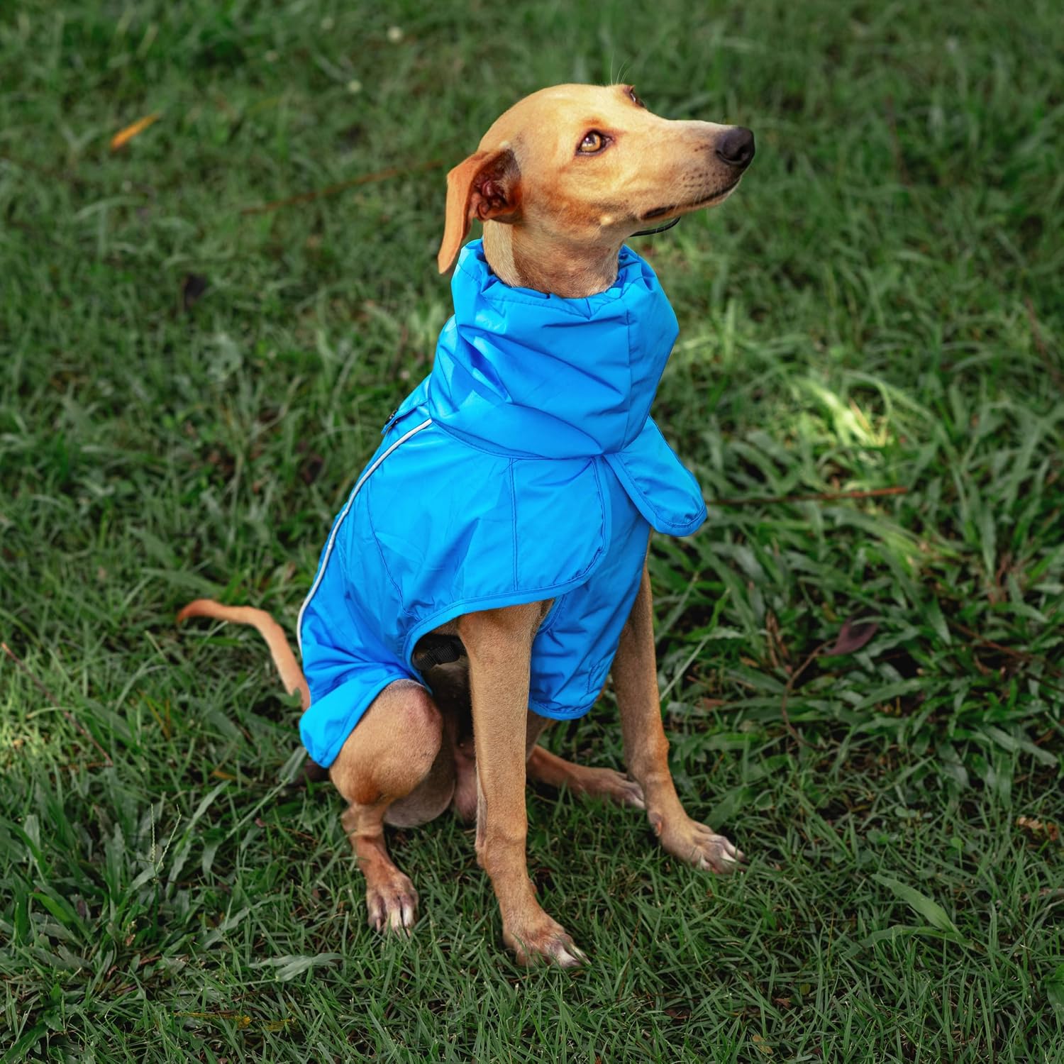 Tuff Pupper premium waterproof nylon dog coat sealed seams view