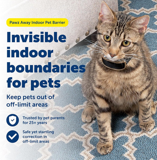 PetSafe indoor wireless pet proofing system transmitter placed near a kitchen counter.
