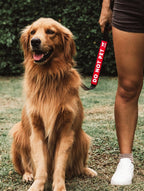 Waterproof non slip pet alert sleeve for one inch wide straps