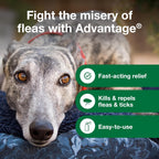 Authentic Advantage dog flea spray 15 fluid ounce bottle