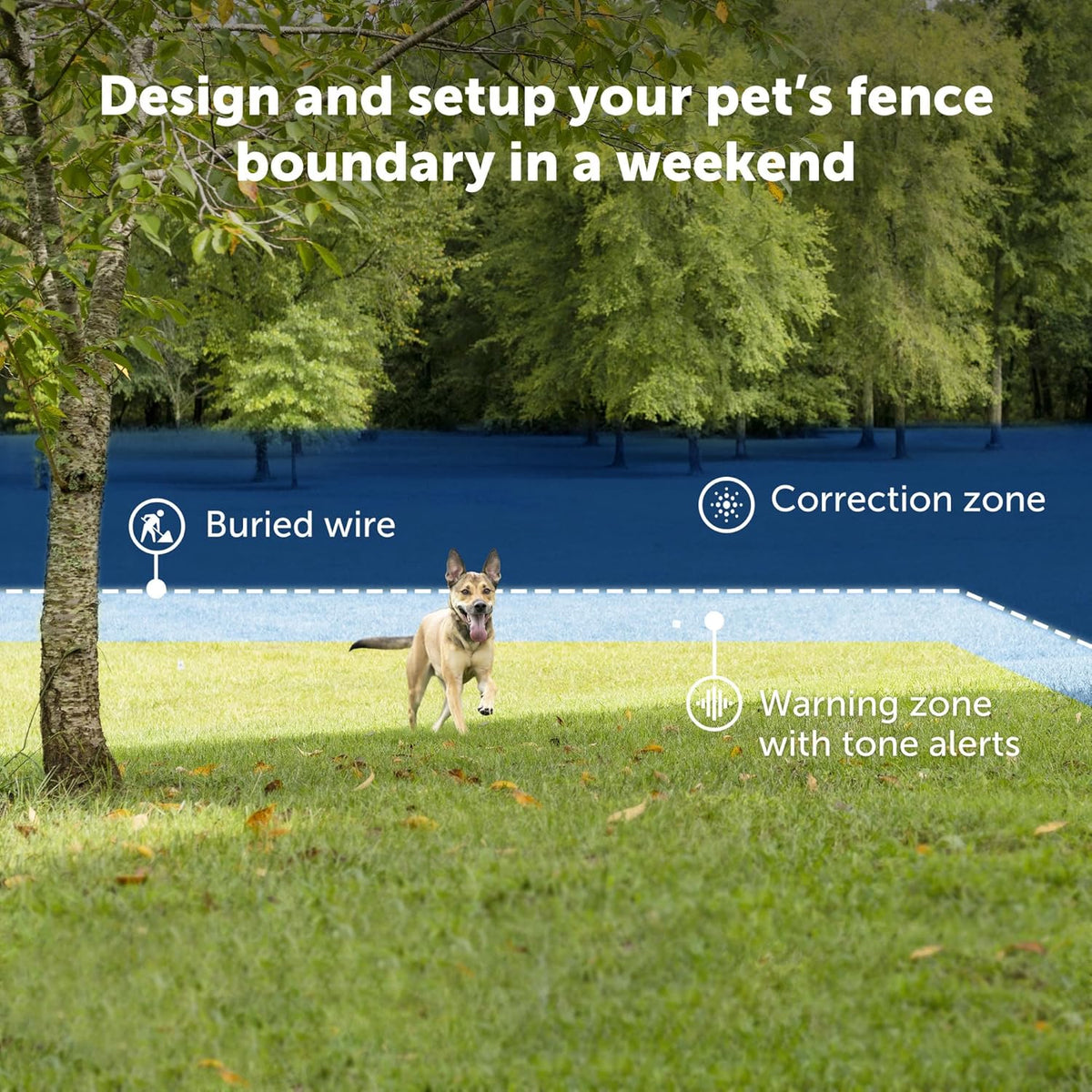 PetSafe electronic dog collar showing the adjustable strap buckle and contact points for training.