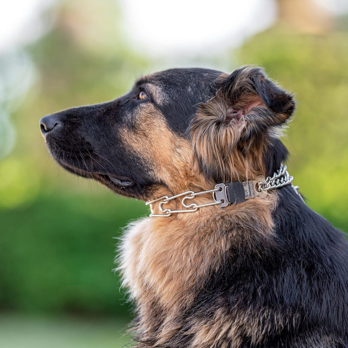 Authentic brand stamp visible on the training collar swivel D ring.