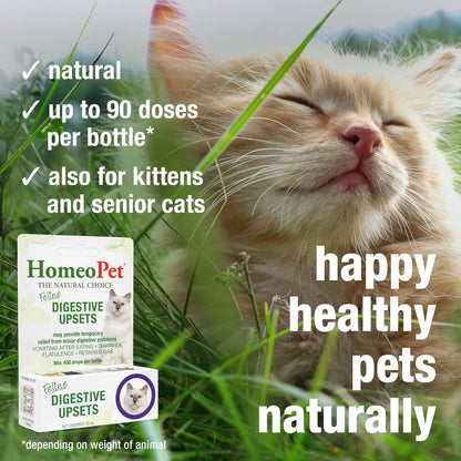 HomeoPet 15 Milliliters bottle with easy dropper cap for administering to cats
