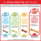 Nylabone Power Chew Groove Bone - Dog Toys for Aggressive Chewers - Durable Dog Toy for Small Breeds - Small Dog Chew Toys - Flavor Medley, Small, Up to 25 Ibs. (1 Count) - Image 10