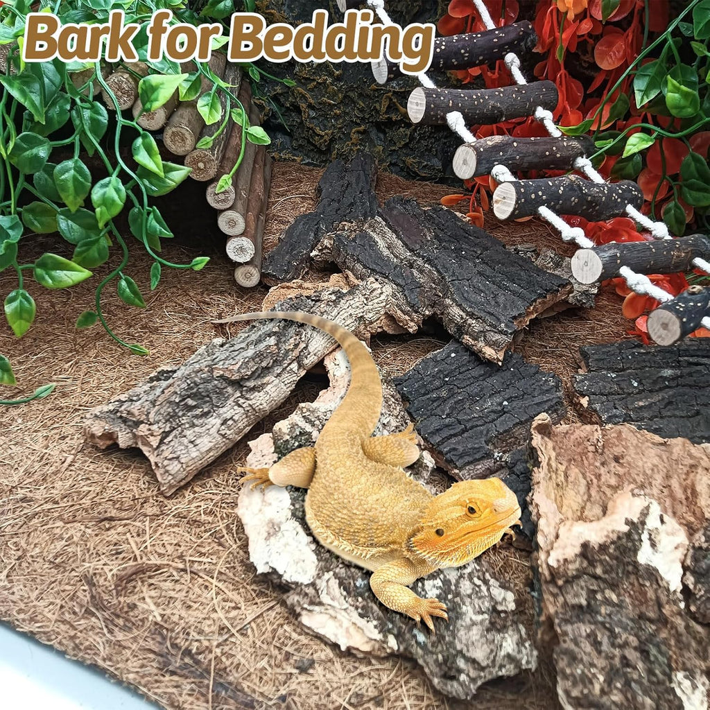 Premium BNOSDM natural cork wood chunks arranged inside a tropical gecko enclosure.