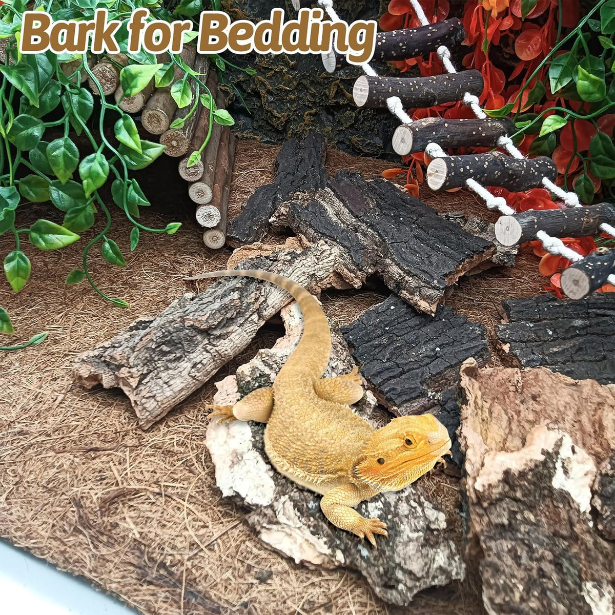 Premium BNOSDM natural cork wood chunks arranged inside a tropical gecko enclosure.