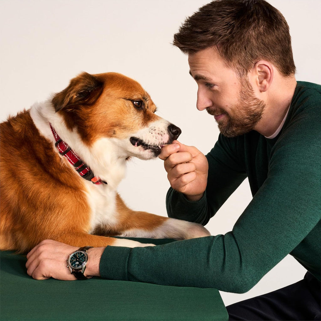 Healthy grass-fed beef dog training treats for puppies