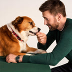 Healthy grass-fed beef dog training treats for puppies