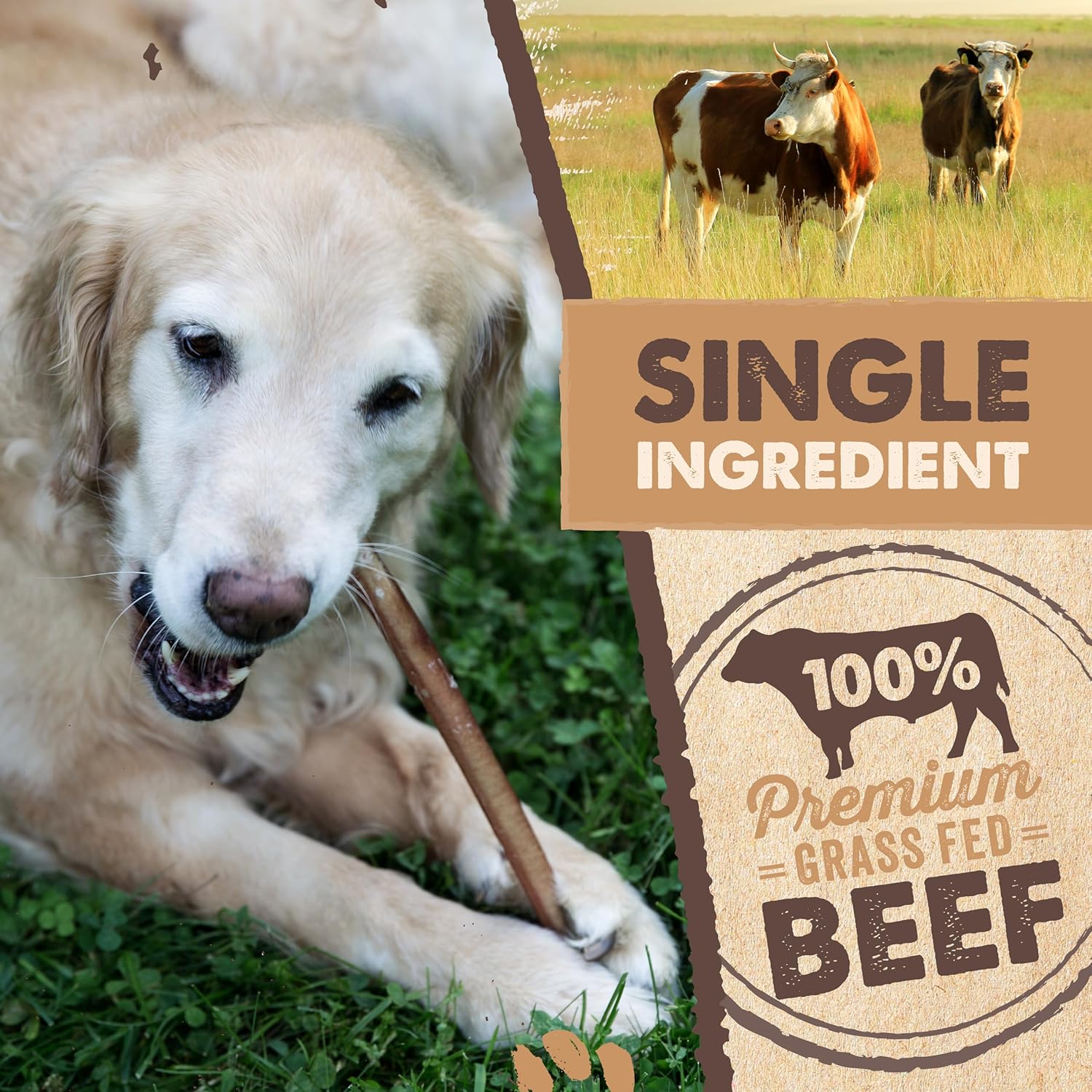 All natural lower odor bully sticks for large dogs