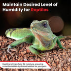 Back view of Gro-Med ReptiCare instructions and usage guidelines