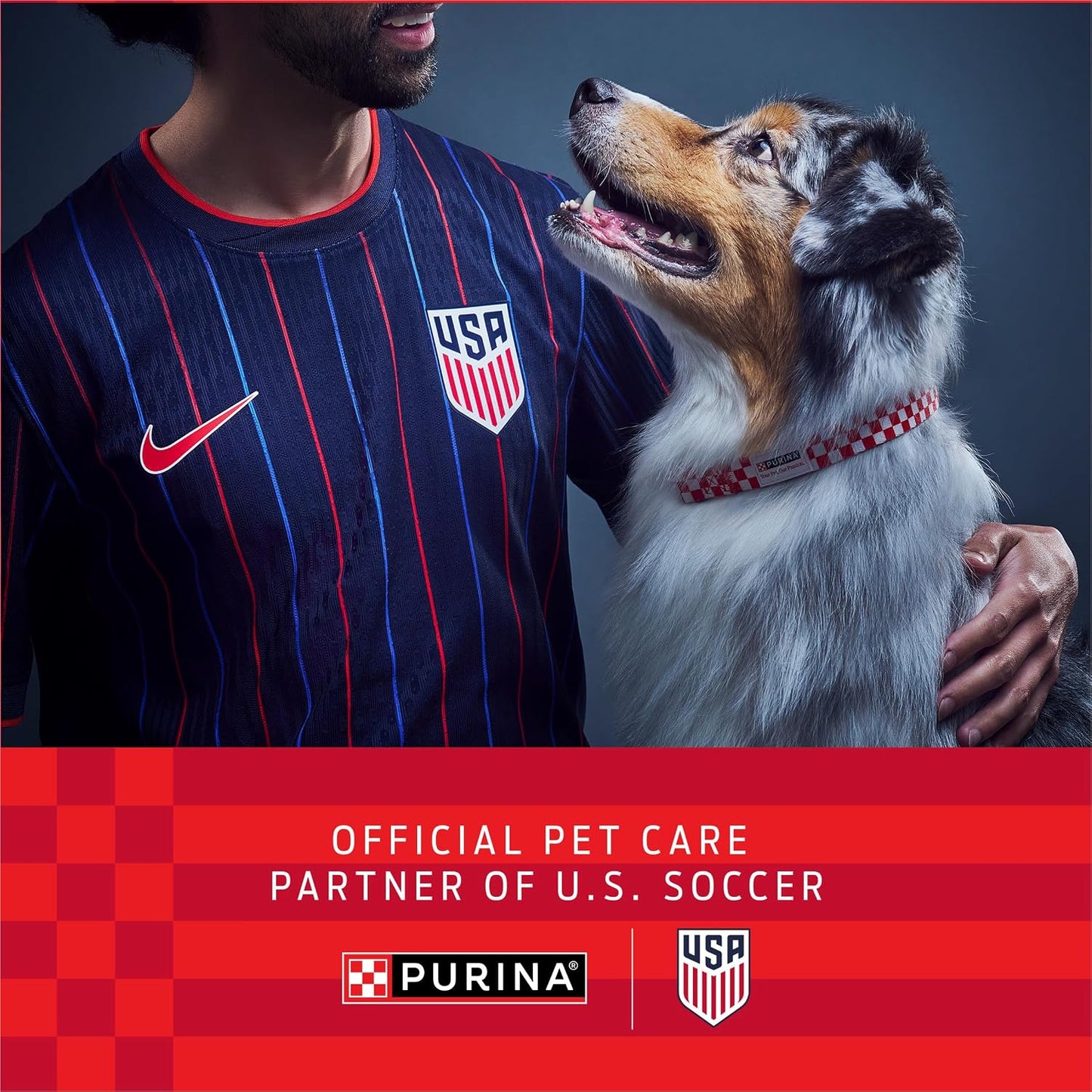 Purina FortiFlora canine nutritional supplement packaging showcasing 30 count daily sachets.