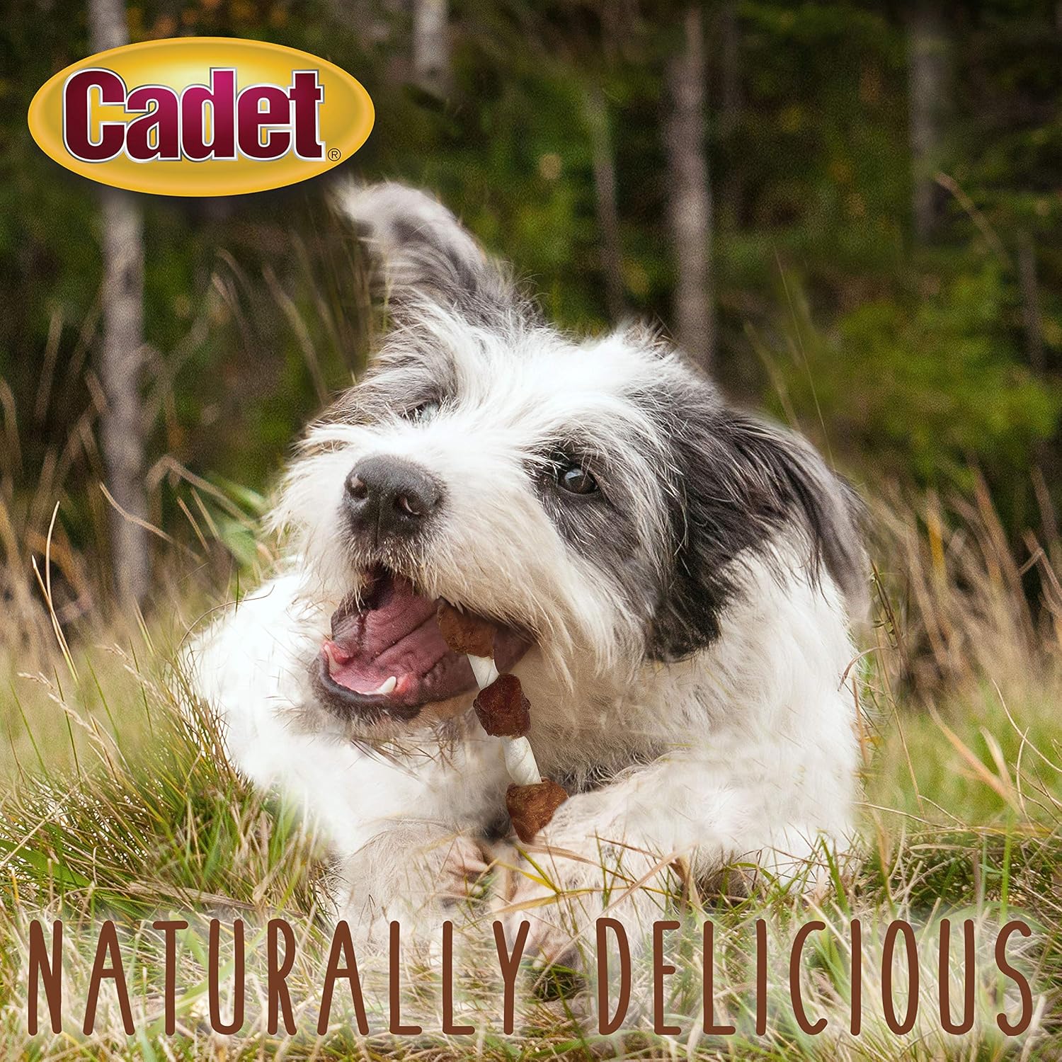 Cadet Gourmet Shish Kabob Dog Chews for Small Dogs, Rawhide Treats with Chicken, Duck and Sweet Potato, Healthy & Natural Beef Hide, 5-Inch Sticks, 24 oz - Image 9