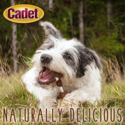 Cadet Gourmet Shish Kabob Dog Chews for Small Dogs, Rawhide Treats with Chicken, Duck and Sweet Potato, Healthy & Natural Beef Hide, 5-Inch Sticks, 24 oz - Image 9