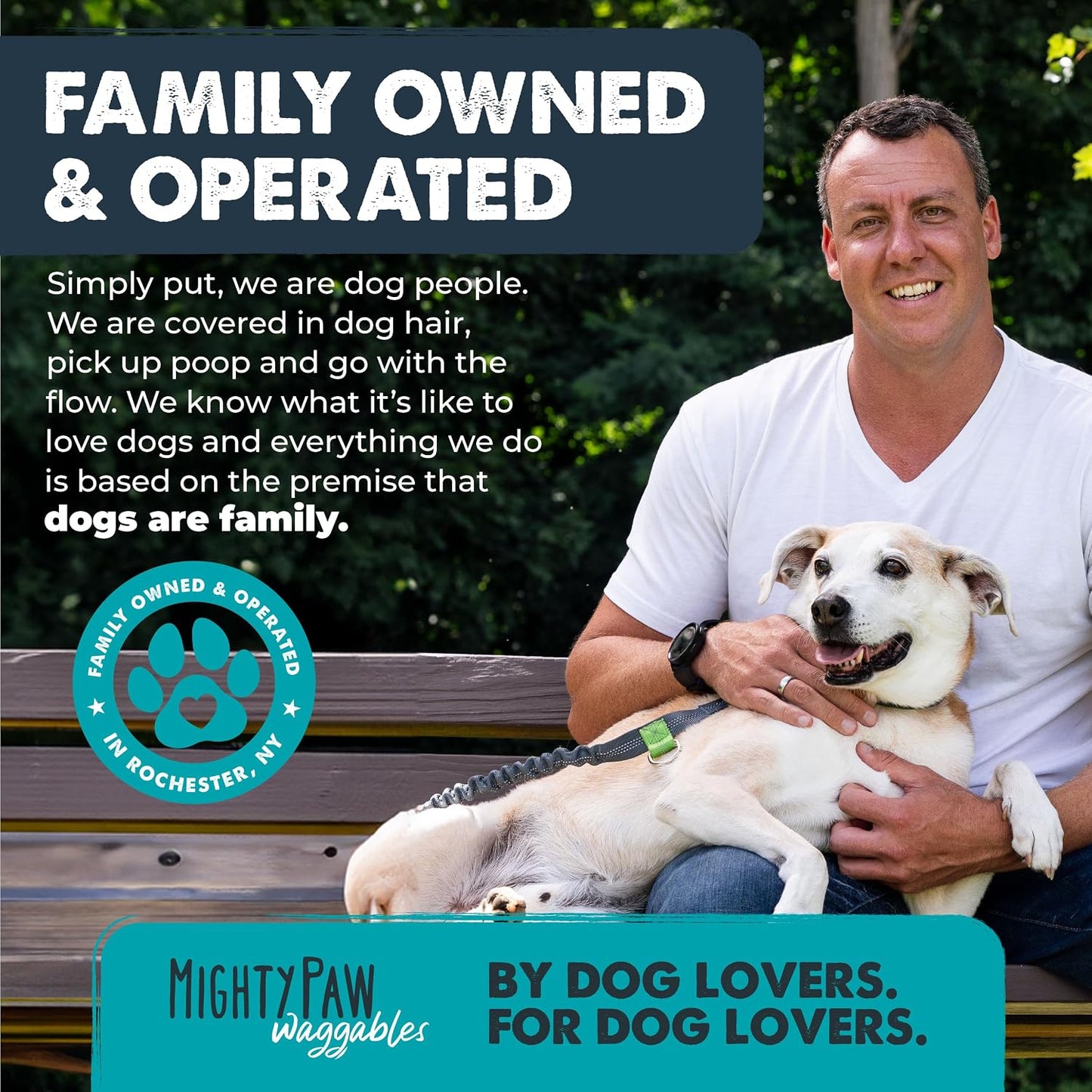 Mighty Paw Waggables Eyes jar showcasing immune and vision benefits