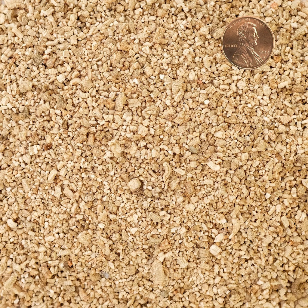 GARDENWISE Fine Sand for Plants - Horticultural Sand for Succulents, Cactus, Potting Mixes, Terrariums & Decorative Indoor Gardens, Made in USA (5 quarts - 14 lbs) - Image 15