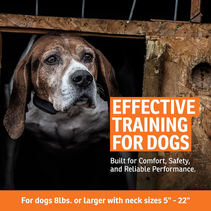 SportDog NoBark 10 device showing contact points