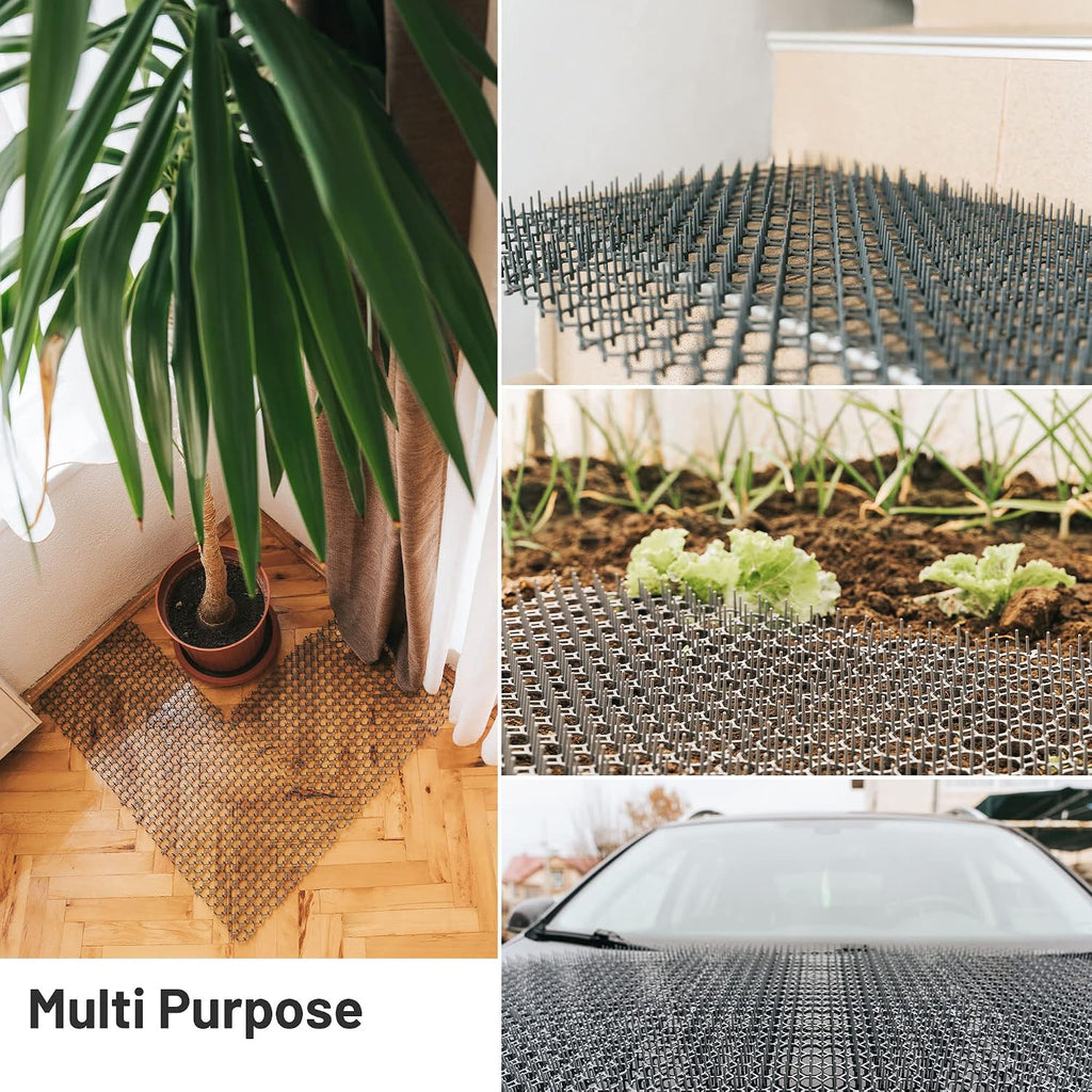 Cat avoiding surface with Petfolio spike mat