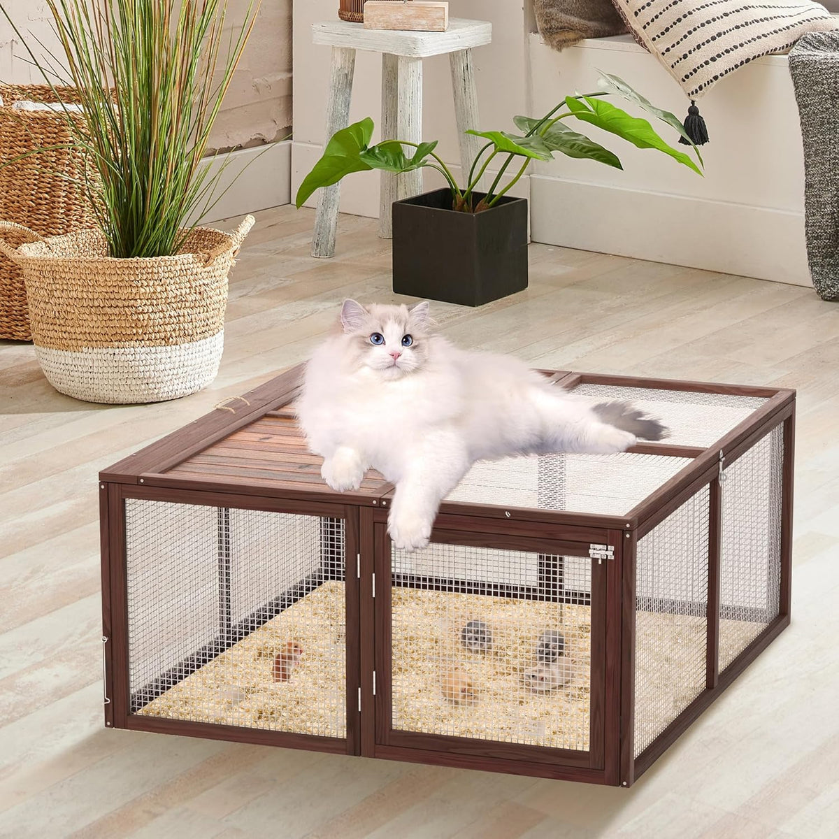 Portable Chicken Coop Run, Rabbit Hutch with Top & Side Opening Doors, Folding Wooden Rabbit Cage for Guinea Pigs, Bunny, Rabbit, Hedgehog, Small Animal Outdoor (Brown) - Image 1