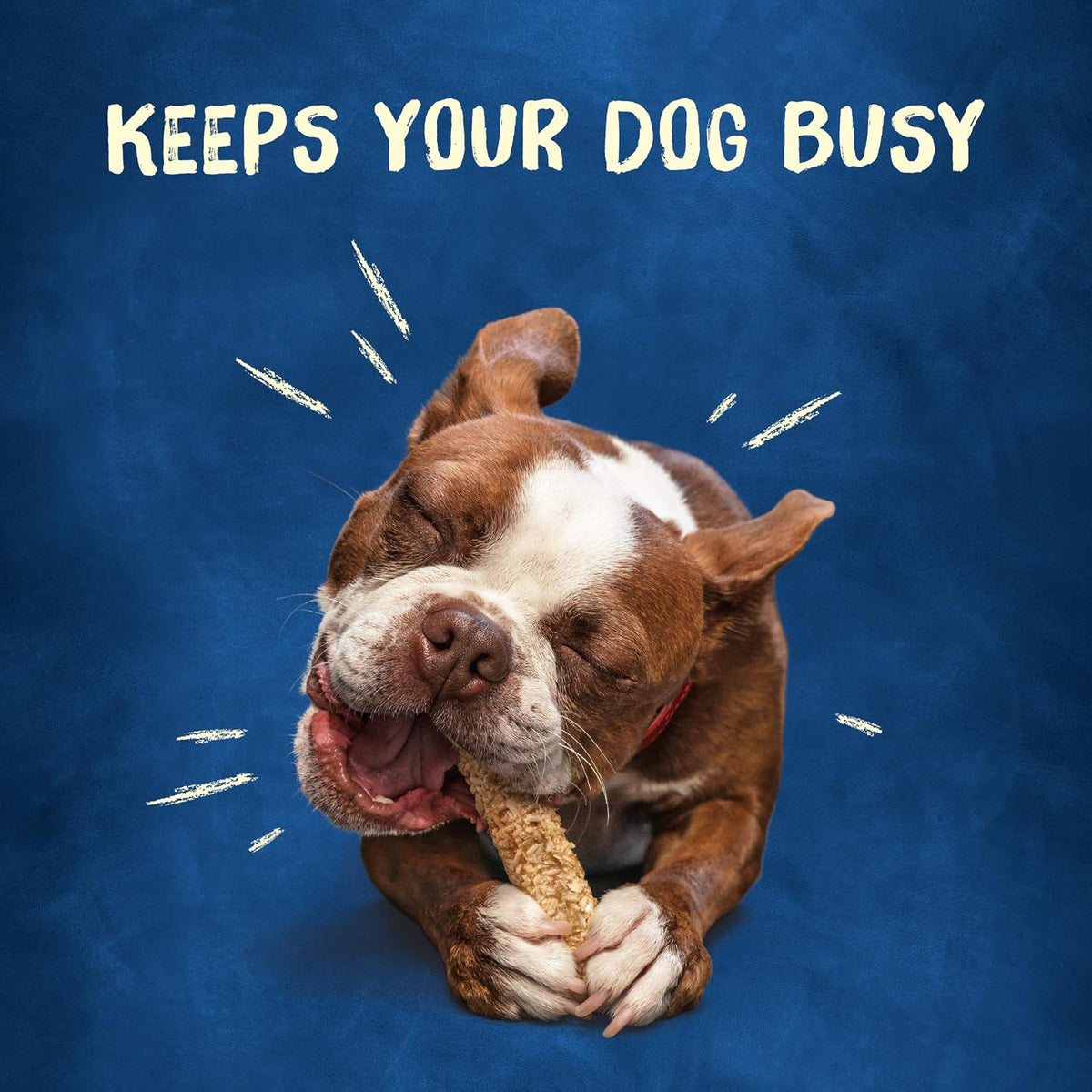 USA imported Purina Busy Chewnola long lasting adult pet treats