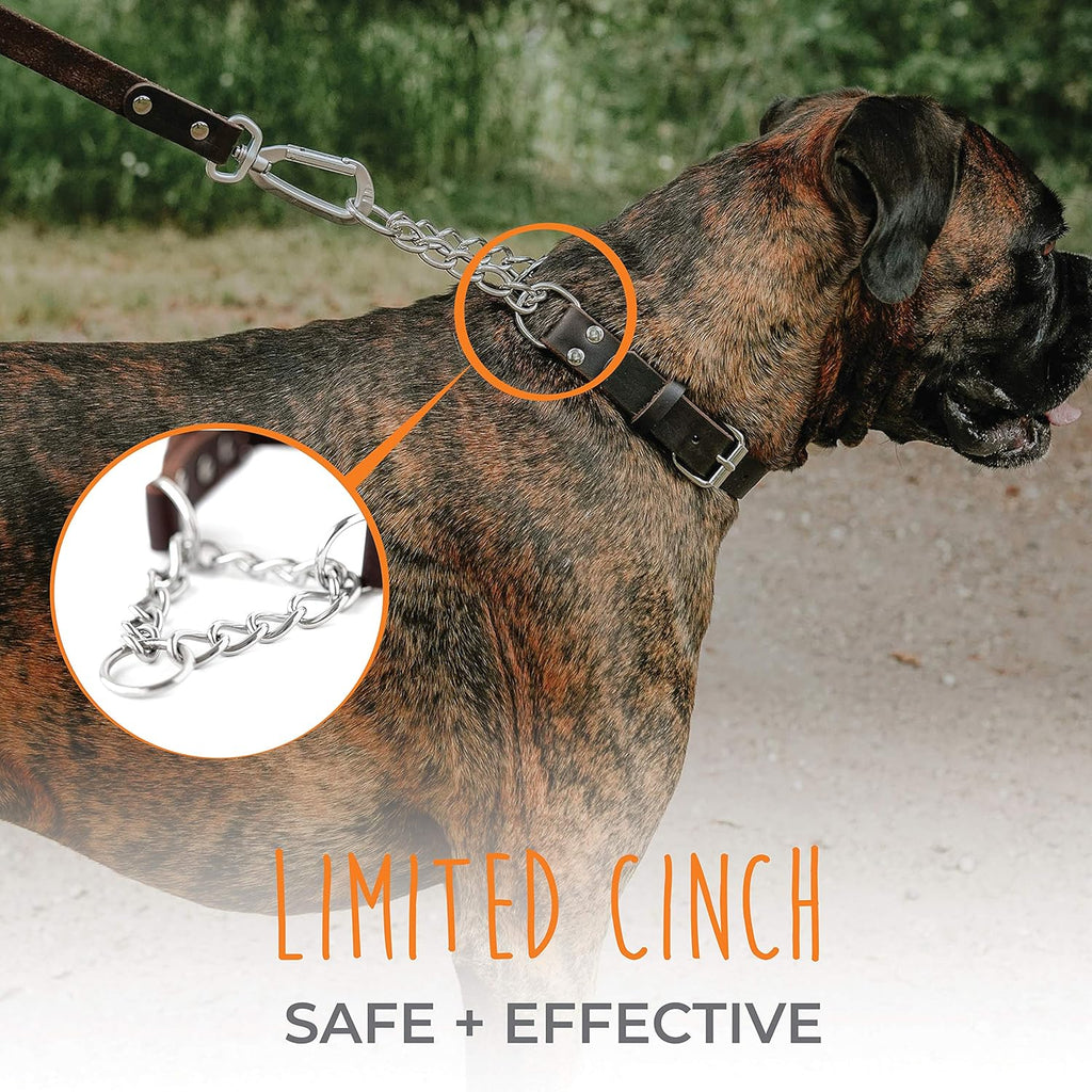 Brown leather dog training collar with stainless steel chain close up