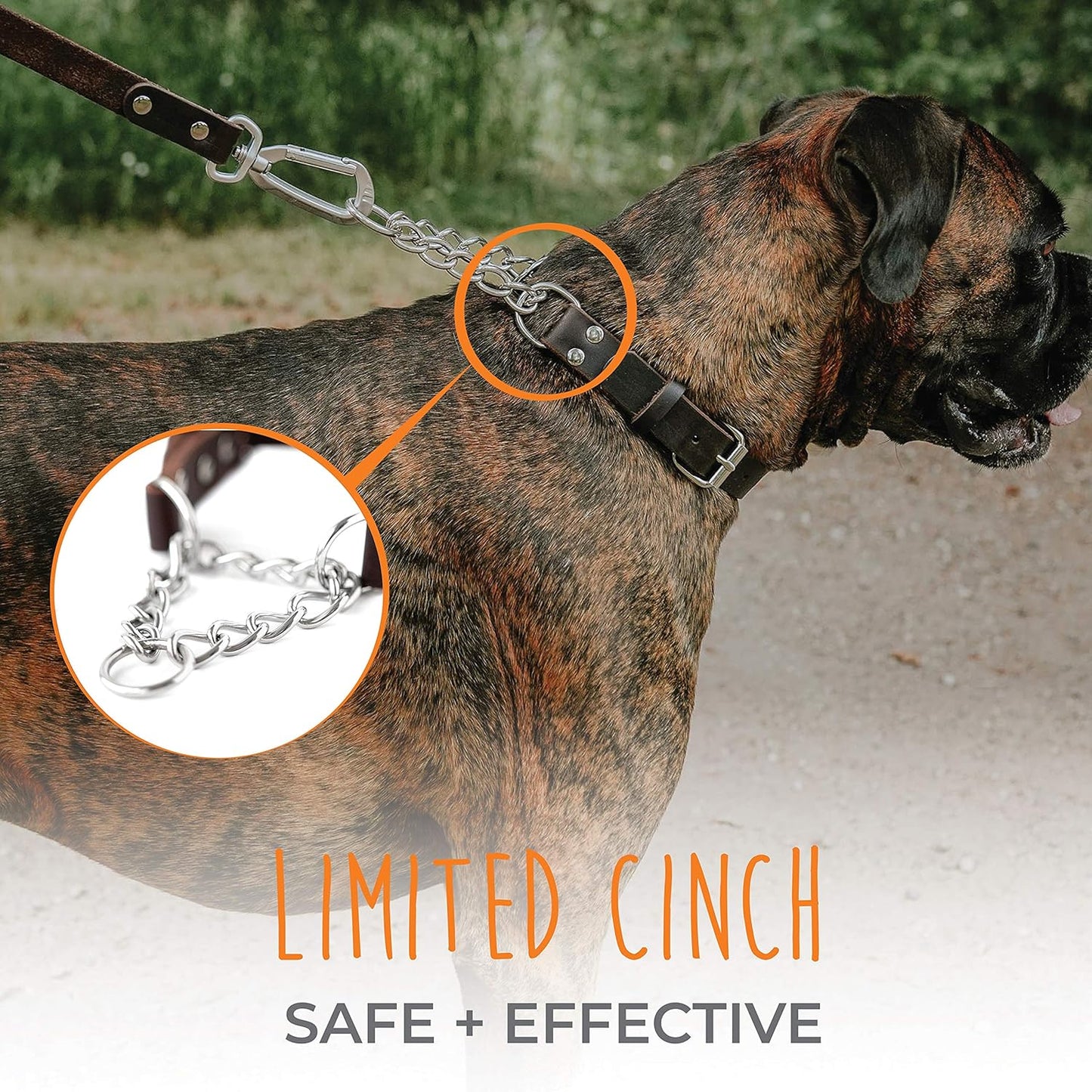 Brown leather dog training collar with stainless steel chain close up
