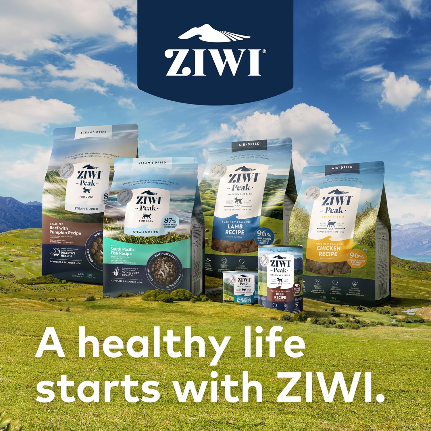 Premium grass fed New Zealand lamb dog food raw alternative blend close up view