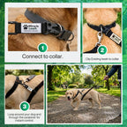 MiracleLeash humane zero choke dog walking loop corrector close up view.