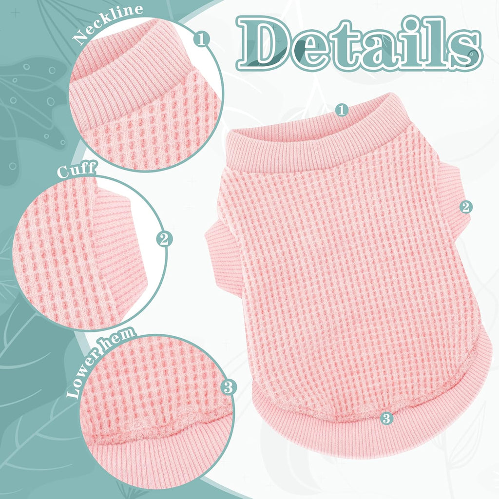 Yorkie dressed in soft pink stretchable pet clothing