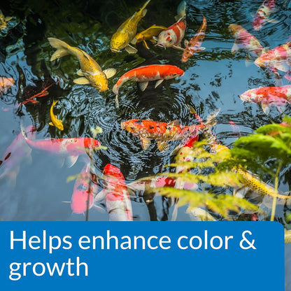 API pond fish food bag showing health benefits