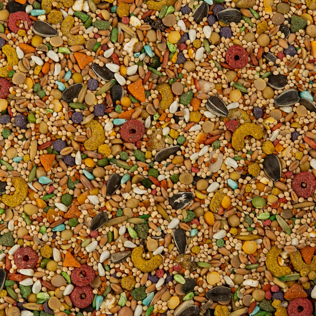 Wild Harvest Advanced Nutrition Bird Food for Cockatiel, 8 lbs - Image 3