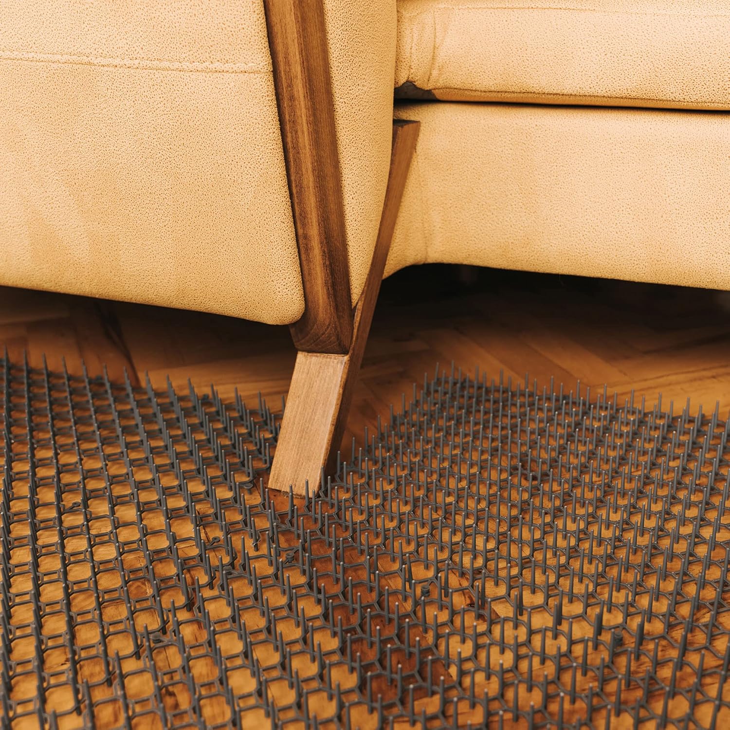 Humane plastic spikes on Petfolio repellent mat