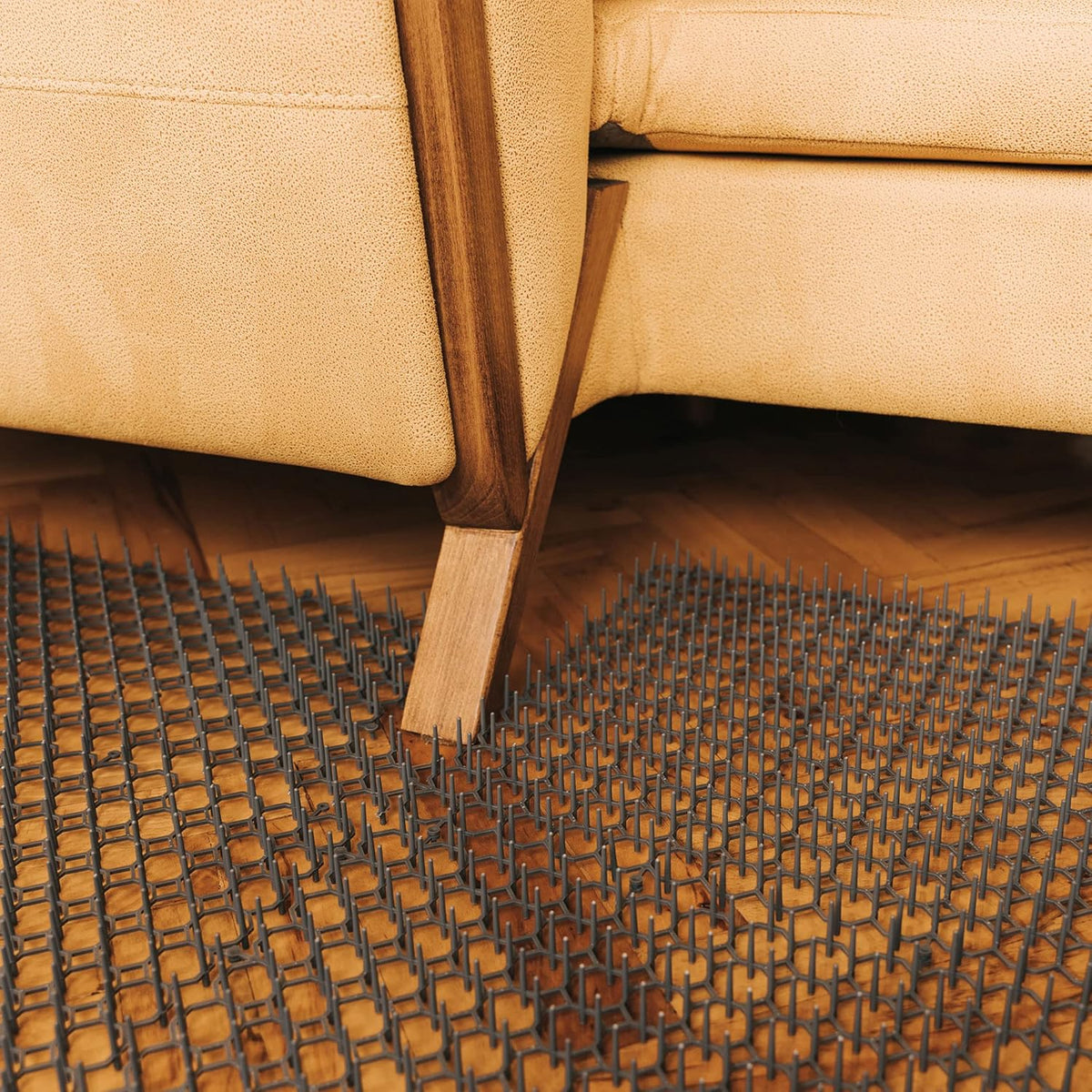 Humane plastic spikes on Petfolio repellent mat