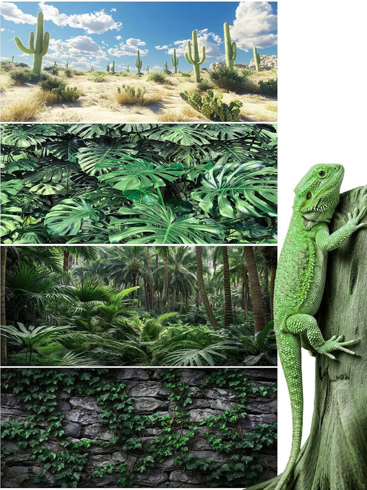Breling 4 Piece Reptile Tank Background front view showcasing tropical rainforest and cactus themes.