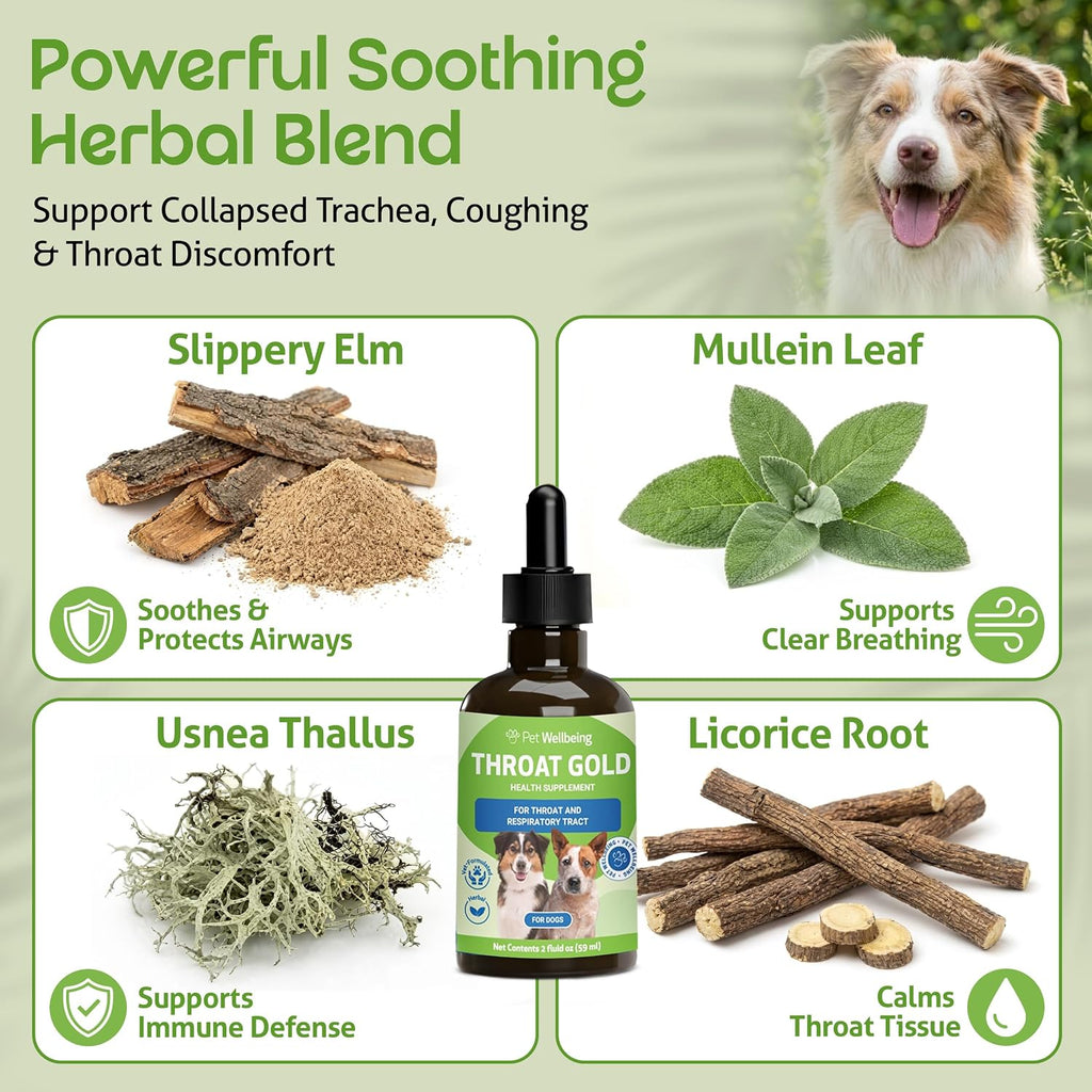 Pet Wellbeing Throat Gold 2 fluid ounces dropper bottle for trachea support