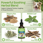 Pet Wellbeing Throat Gold 2 fluid ounces dropper bottle for trachea support