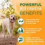 Side view of TropiClean large size natural flea tick shampoo for multi pet homes