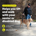 PetSafe CareLift large dog rear support harness front view