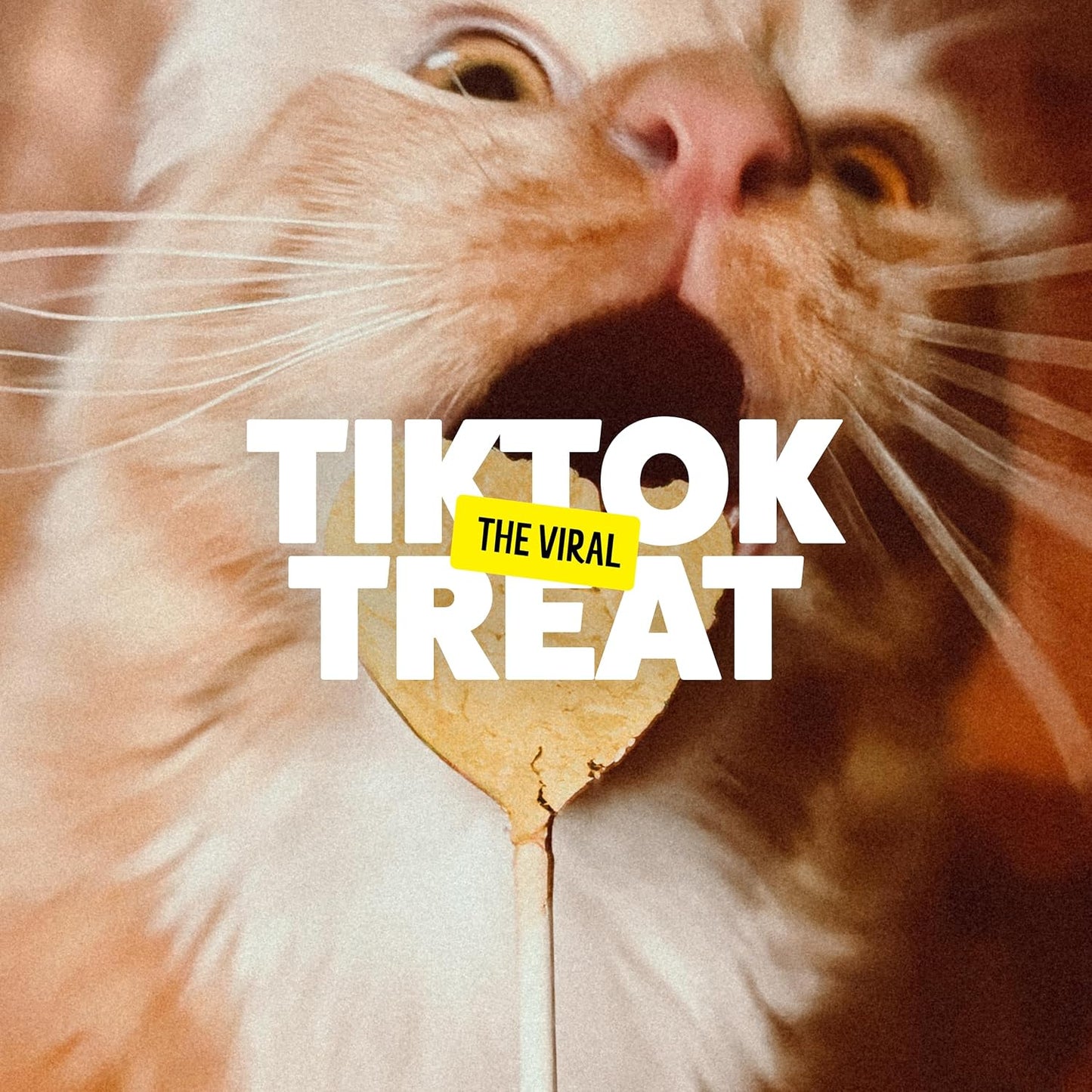 Hand holding Bonkers Purrpops lollipop cat treat for cat