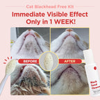 Close up of the JAYU PET double sided silicone brush detailing the gentle exfoliating textures for cat chin acne.