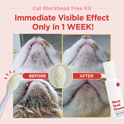 Close up of the JAYU PET double sided silicone brush detailing the gentle exfoliating textures for cat chin acne.