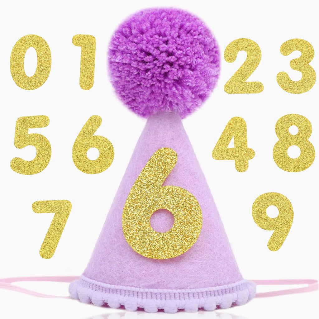 Pet Birthday Hat with Interchangeable Numbers 1-10 | Adjustable Pet Party Cone Hat for Dogs & Cats | Puppy Birthday Photo Props for 1st to 10th Birthday Celebrations (Pink Birthday Pet Hat) - Image 14