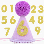 Pet Birthday Hat with Interchangeable Numbers 1-10 | Adjustable Pet Party Cone Hat for Dogs & Cats | Puppy Birthday Photo Props for 1st to 10th Birthday Celebrations (Pink Birthday Pet Hat) - Image 14