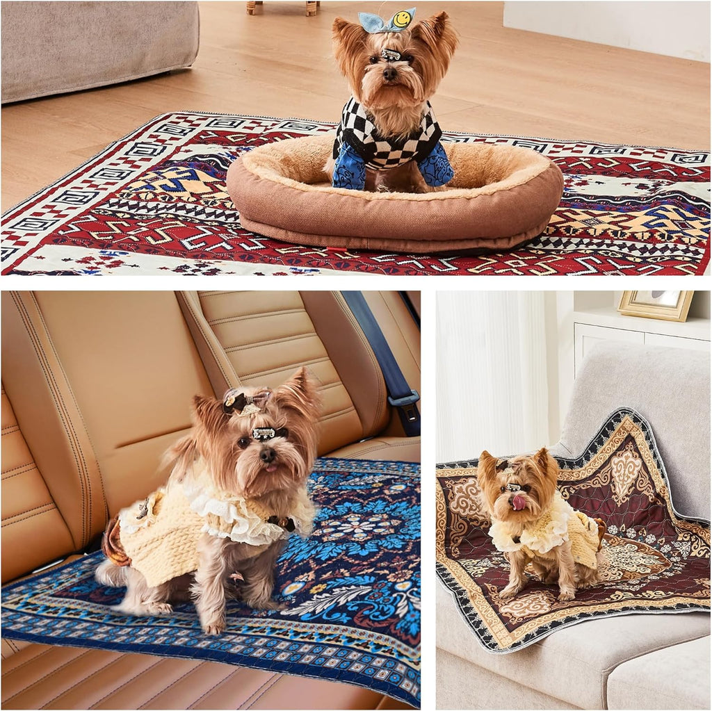 Puppy sitting on Qeils washable pee pad indoors