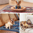 Puppy sitting on Qeils washable pee pad indoors