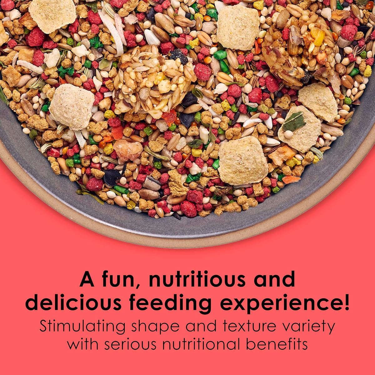 Close up of Kaytee Fiesta bird seed mix ingredients