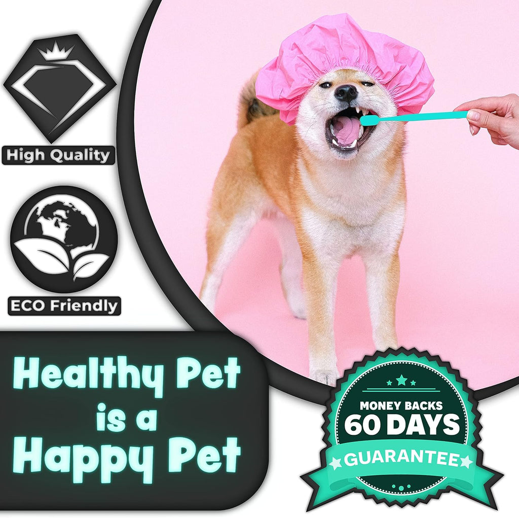 Cyan and white handle variants of H&H Pets small breed dog toothbrushes.