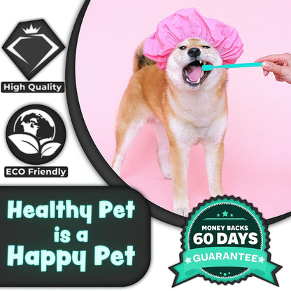 Cyan and white handle variants of H&H Pets small breed dog toothbrushes.