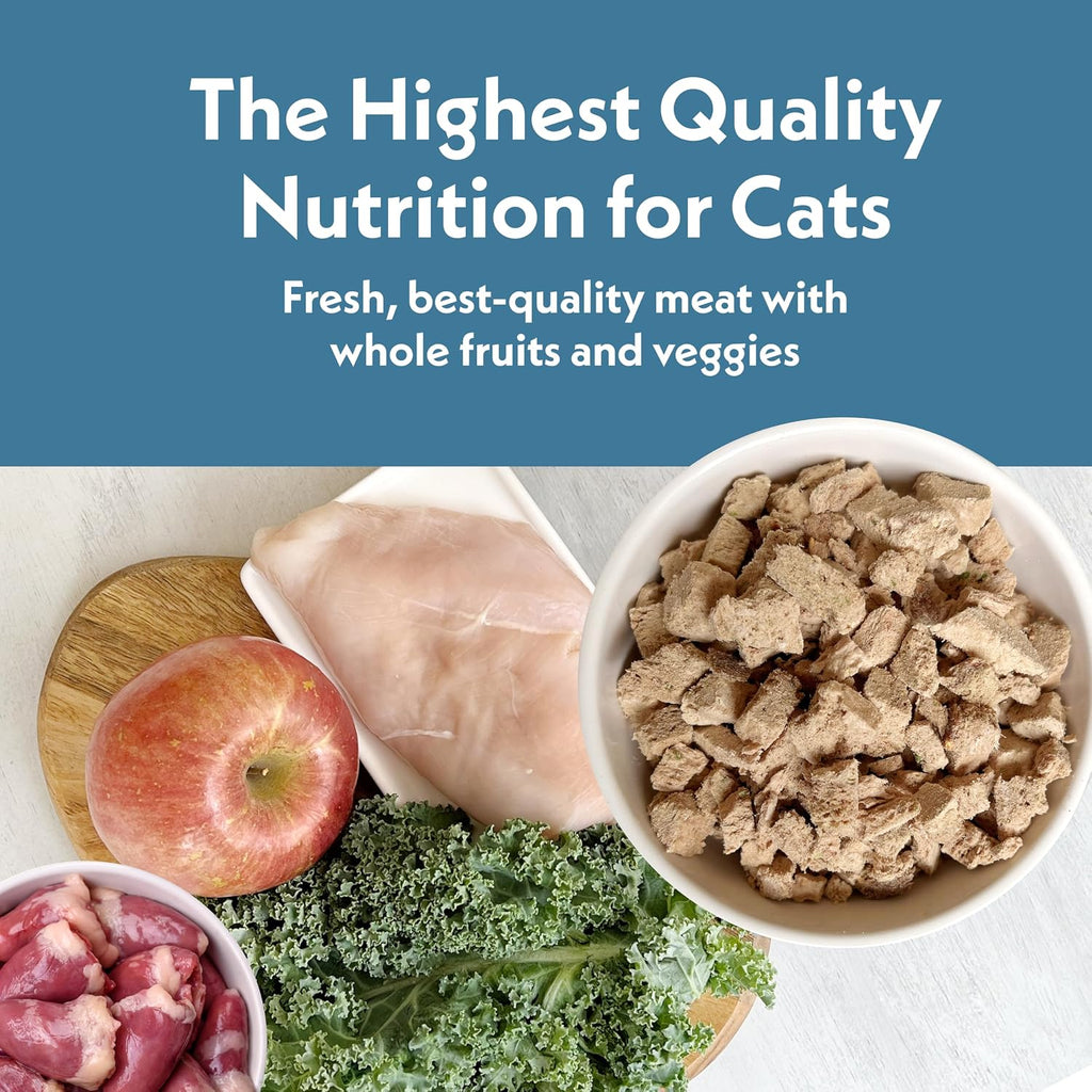 Fresh Is Best grain free cat food close up of contents