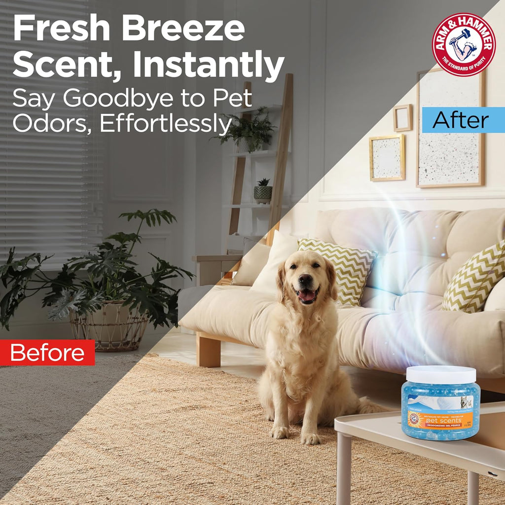 Arm & Hammer Fresh Breeze pet air freshener container in a room setting