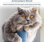 Scooping out the green pet supplement powder from Rx Vitamins Onco Support jar.